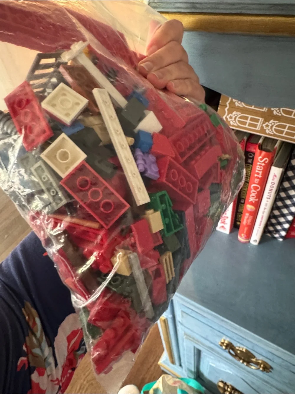 Gallon bag Red Building Block Set - Kids Construction Bricks